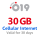 30GB DATA Plan - Valid 30 Days