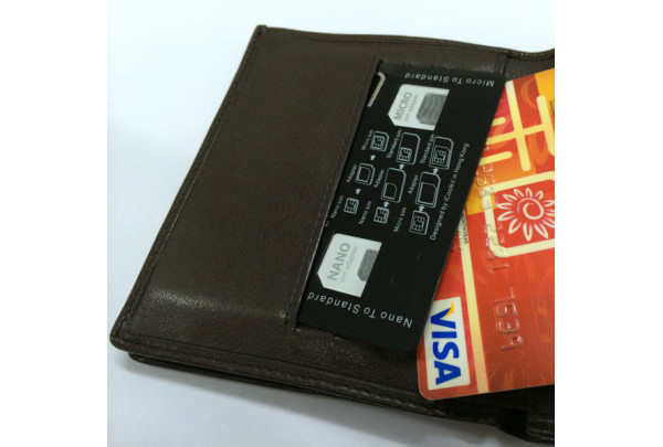 SIM Card Storage Holder with Adapters & Iphone Eject Pin
